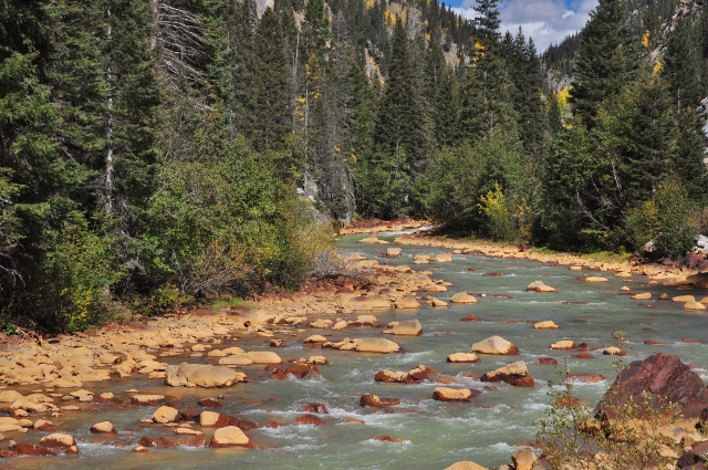 the scenery along the Animas River